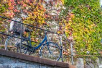 20161101-DSC 1914  Basel - Fahrrad